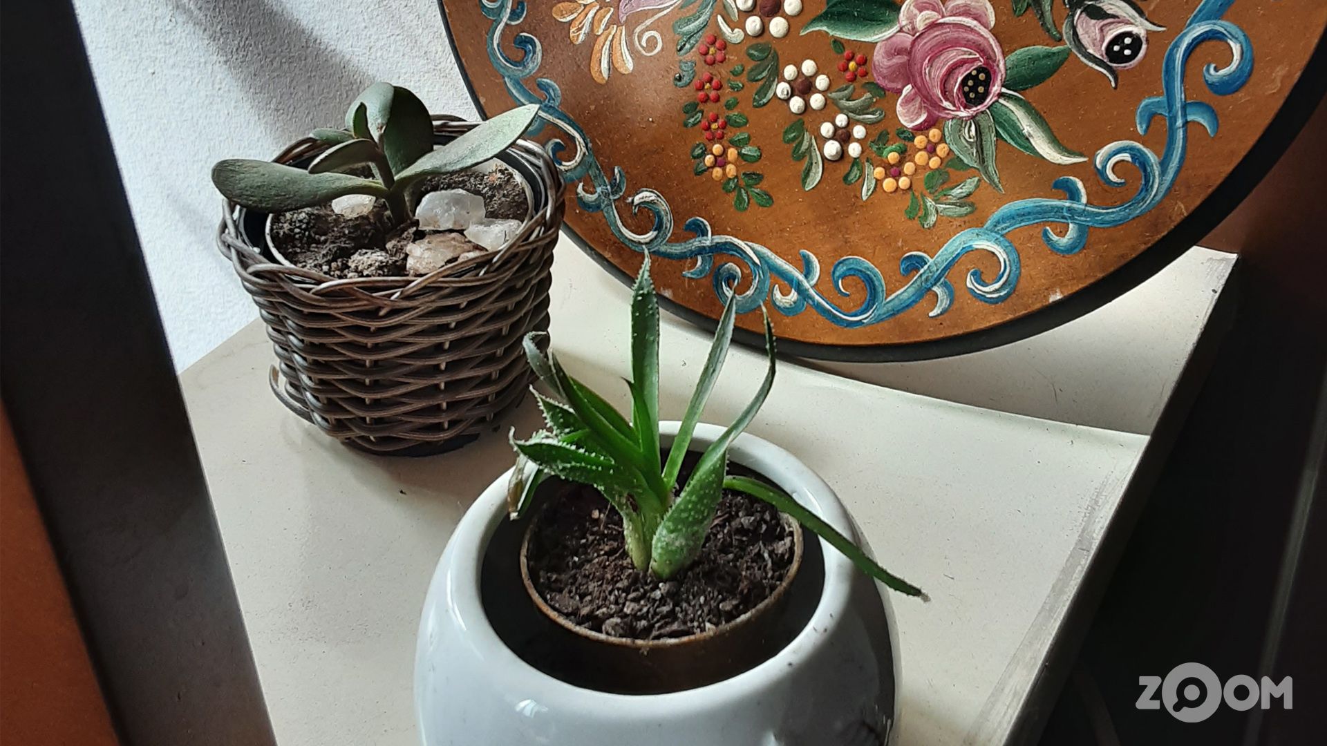 Foto tirada com câmera traseira do Galaxy Tab S6 Lite. (Imagem: Ana Marques/Zoom)