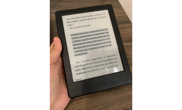 Vale a pena trocar o Kindle pelo Apple Books? - Giz Brasil