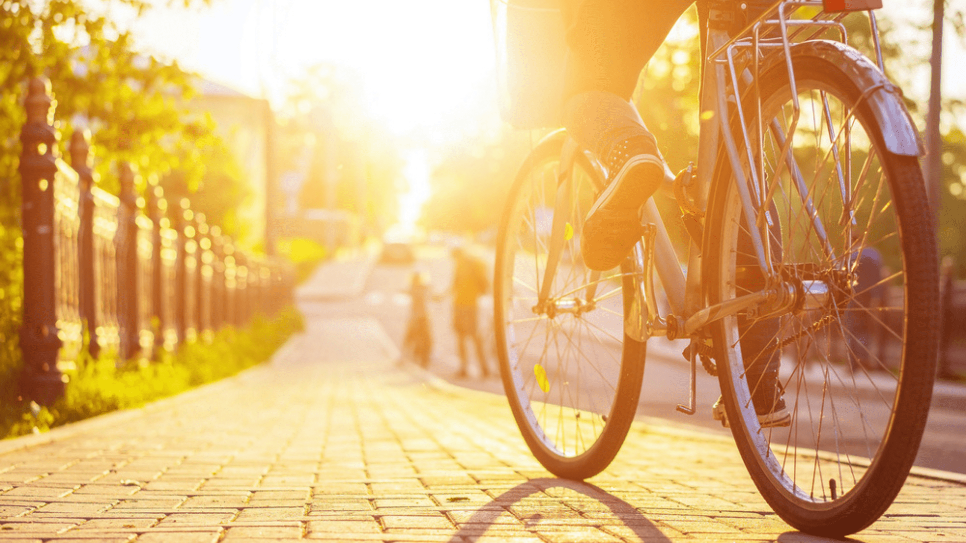 Veja a nossa seleção das melhores bicicletas para comprar em 2020! (Imagem: Reprodução/Shutterstock)