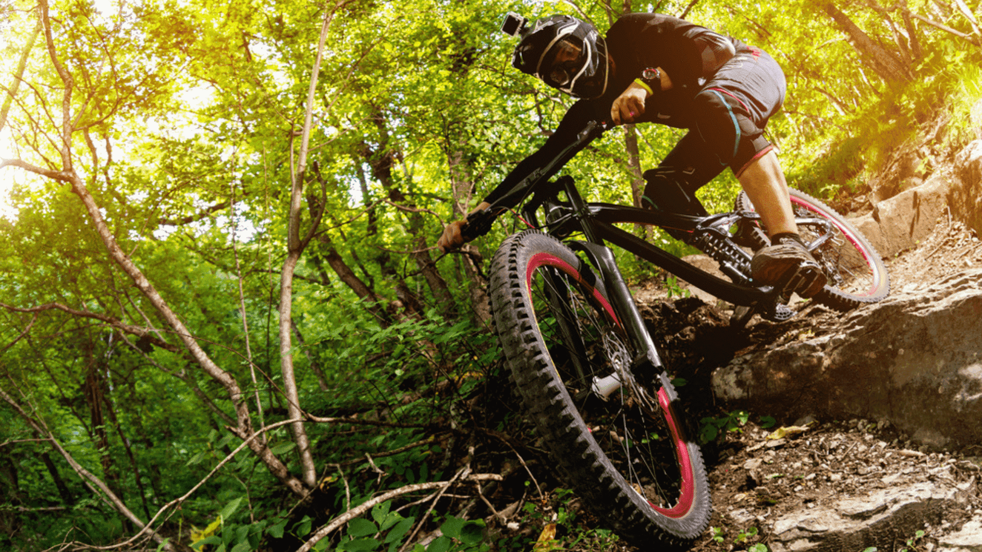Veja a nossa seleção com as melhores mountain bikes para comprar em 2020! (Imagem: Reprodução/Shutterstock)