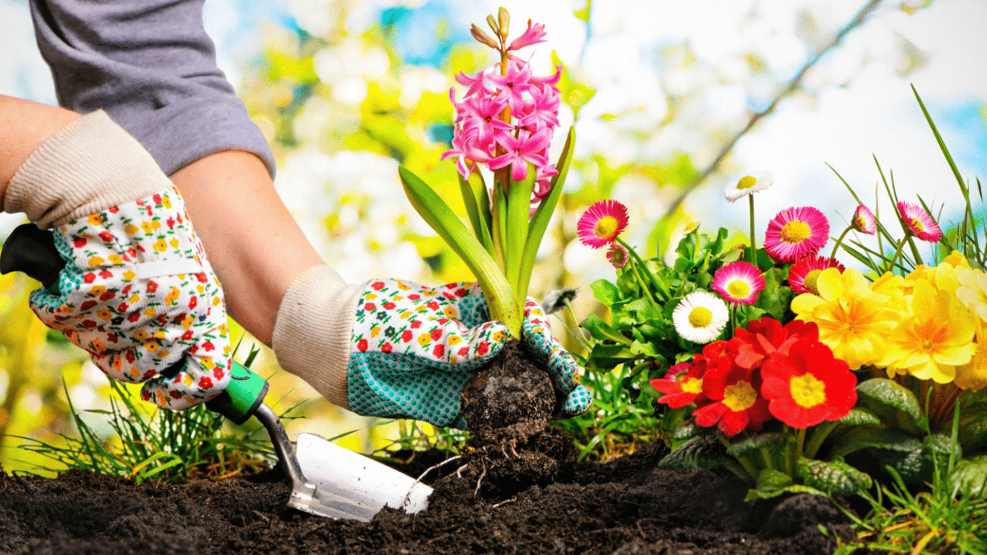 Conheça as ferramentas de jardinagem que você precisa para montar um kit para o seu jardim! (Imagem: Reprodução/Shutterstock)