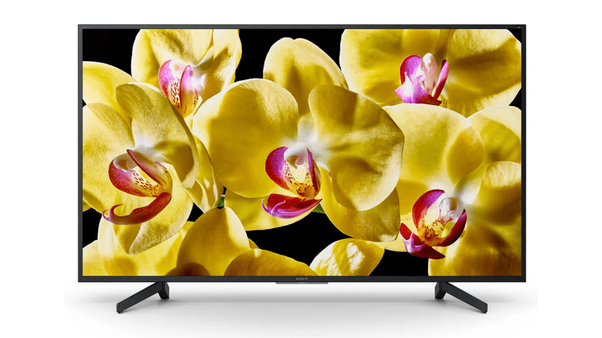 TV Sony (Foto: Divulgação/Sony)