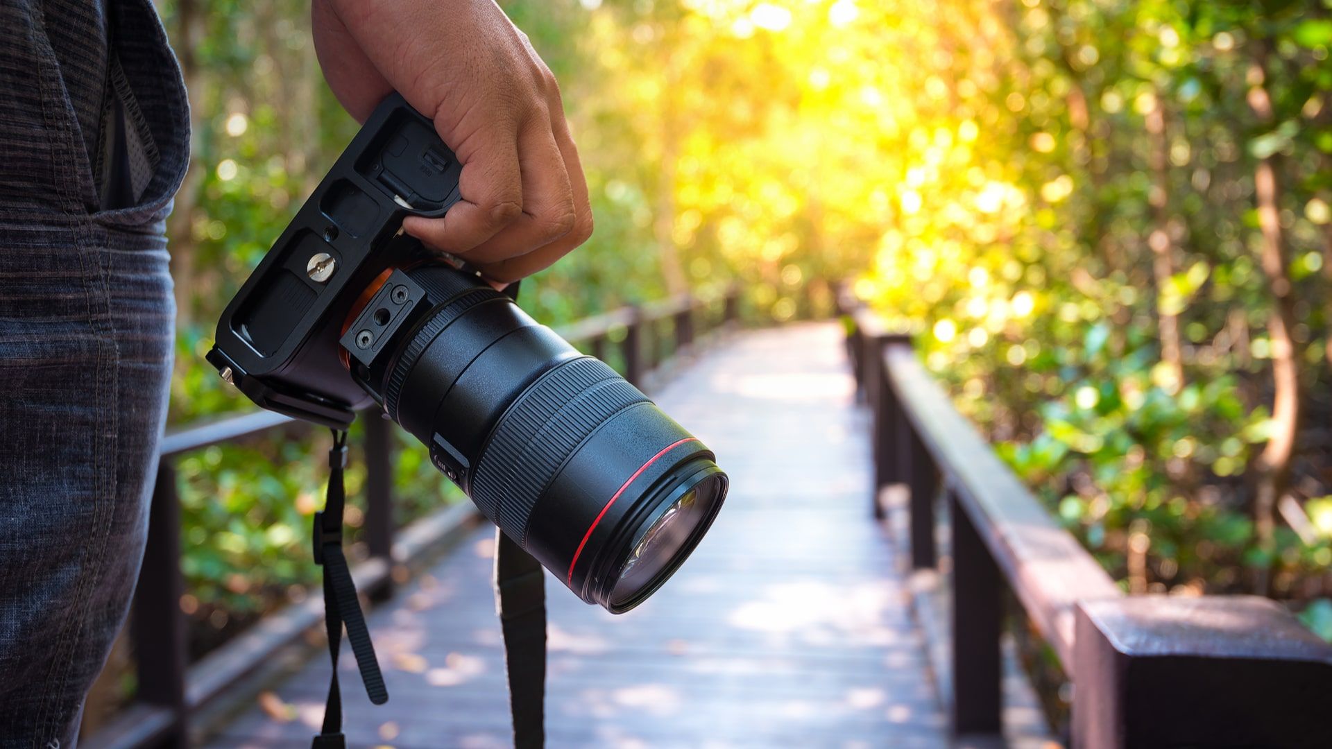 Câmeras DSLR mostram a mesma cena que será capturada no visor (Foto: Shutterstock)