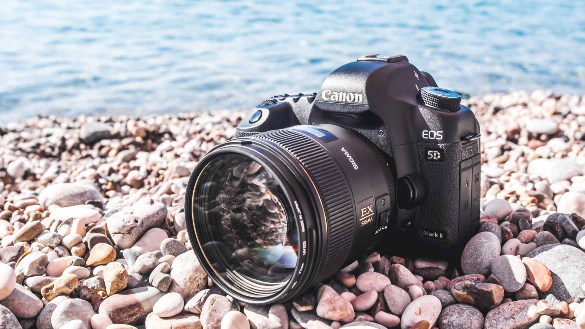 Canon tem grande variedade de câmeras DSLR (Foto: Shutterstock)