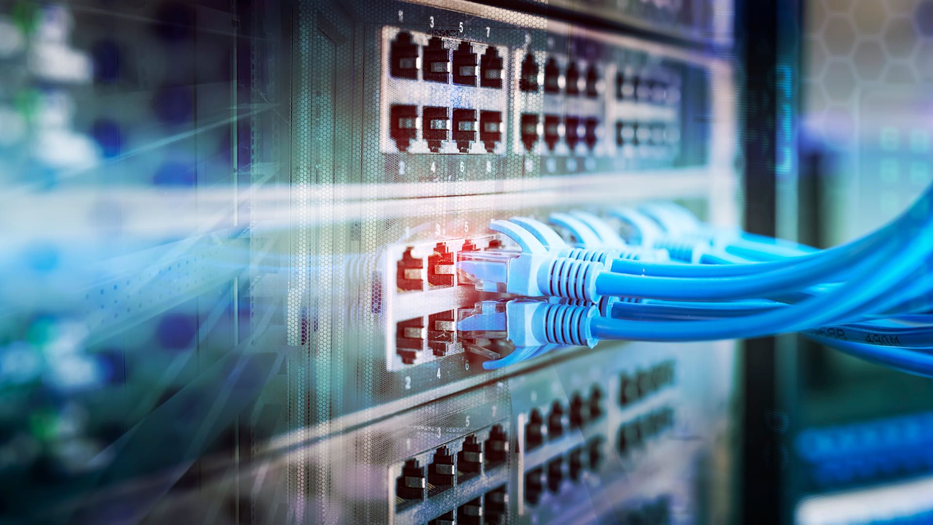 A escolha do cabo é fundamental para a qualidade da rede (Foto: Reprodução/Shutterstock)