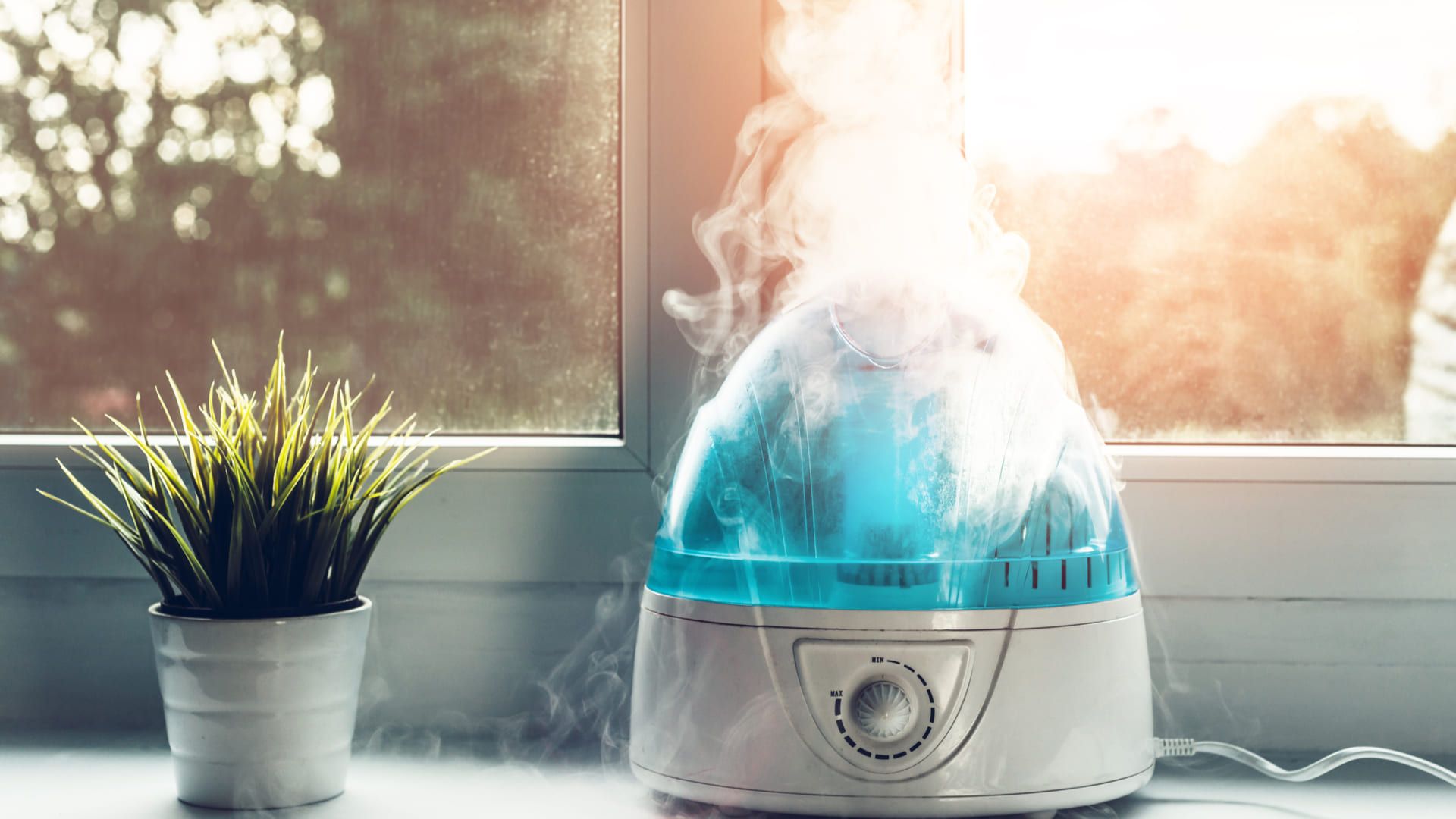 Os umidificadores à vapor são os mais comuns. (Imagem: Reprodução/Shutterstock)