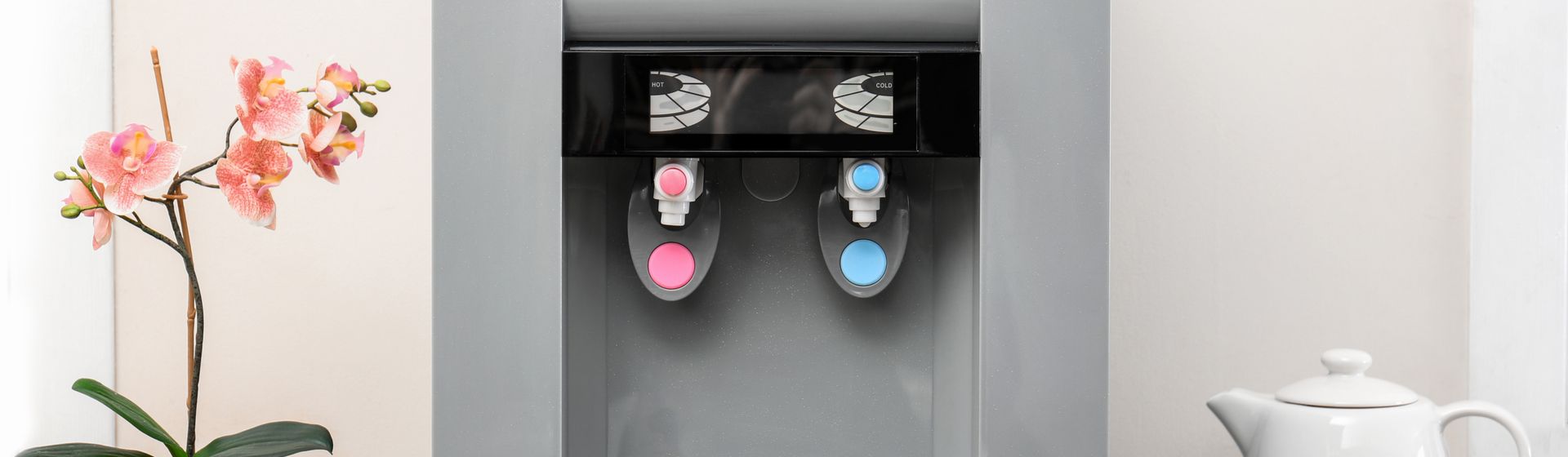 Purificador de água cinza com um botão rosa e outro azul centralizado na imagem, com parede bege ao fundo