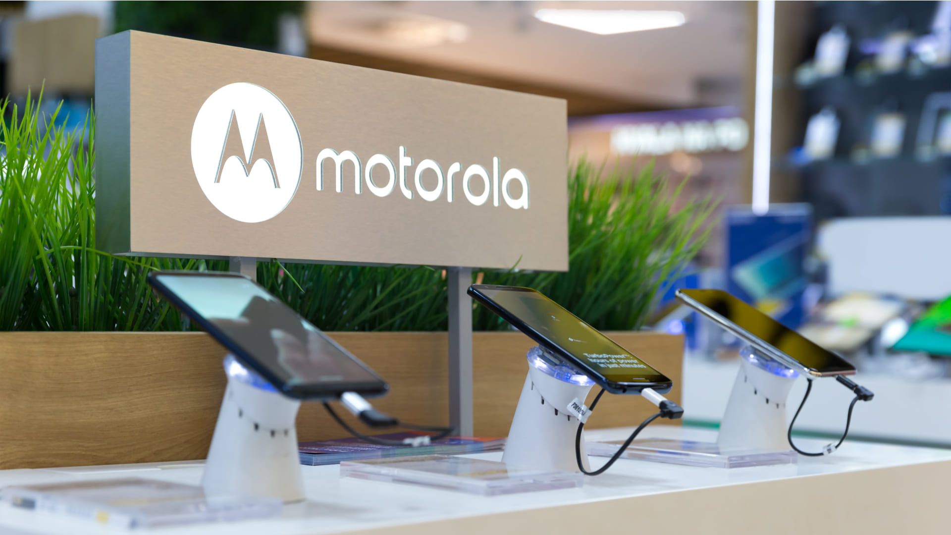 Qual a melhor marca de celular? Para muitos brasileiros, a Motorola é queridinha (Foto: N.Z.Photography / Shutterstock.com)
