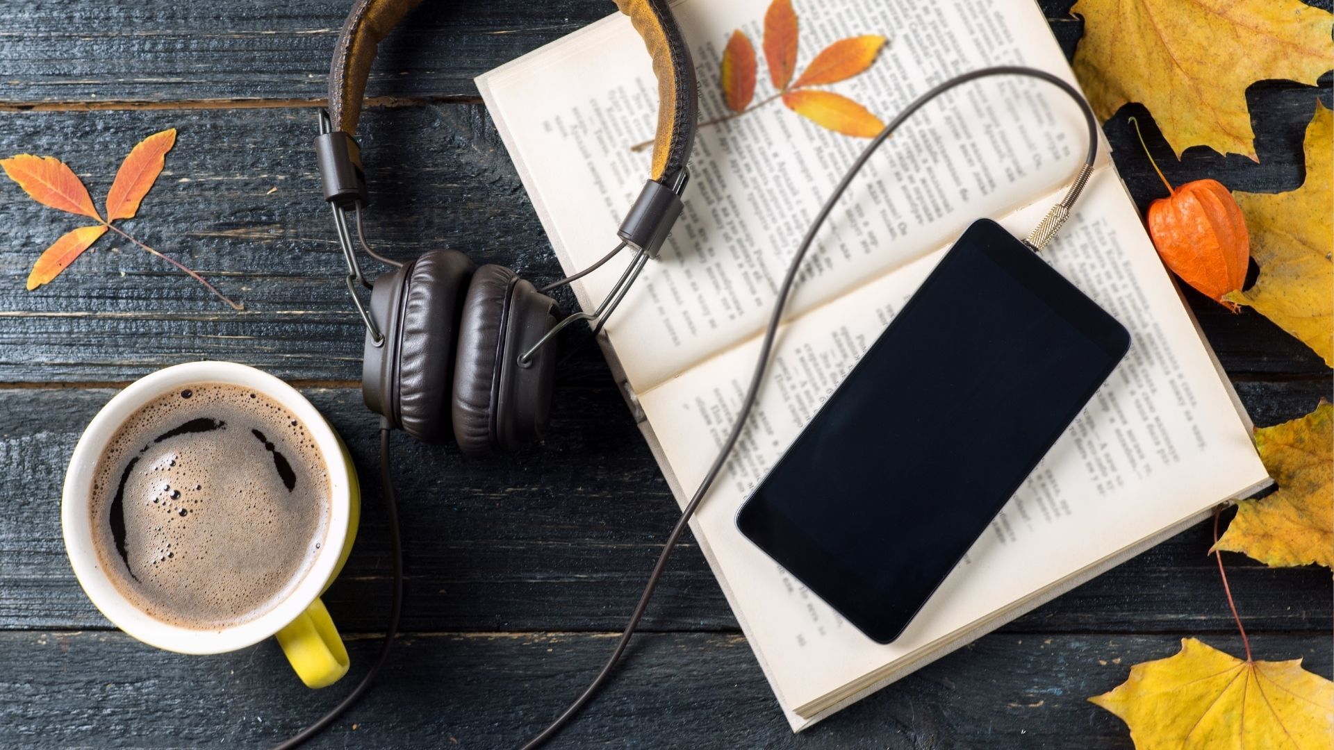 Audiobook