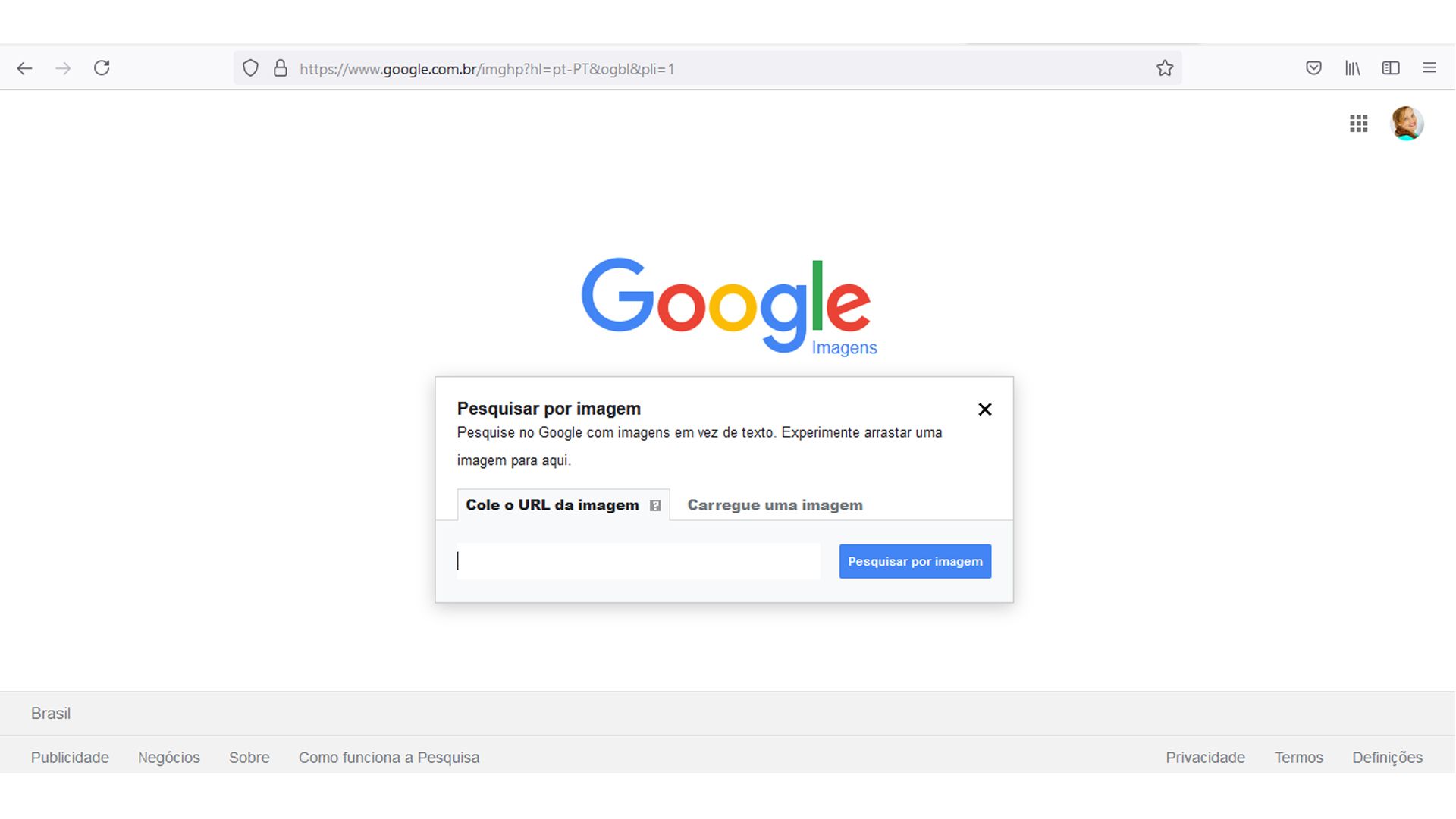 Google Imagens: como pesquisar imagens no Google [2020]