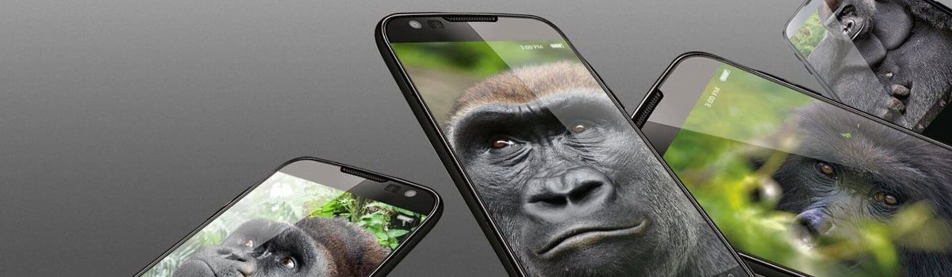 Na foto, celulares mostram fotos de gorilas