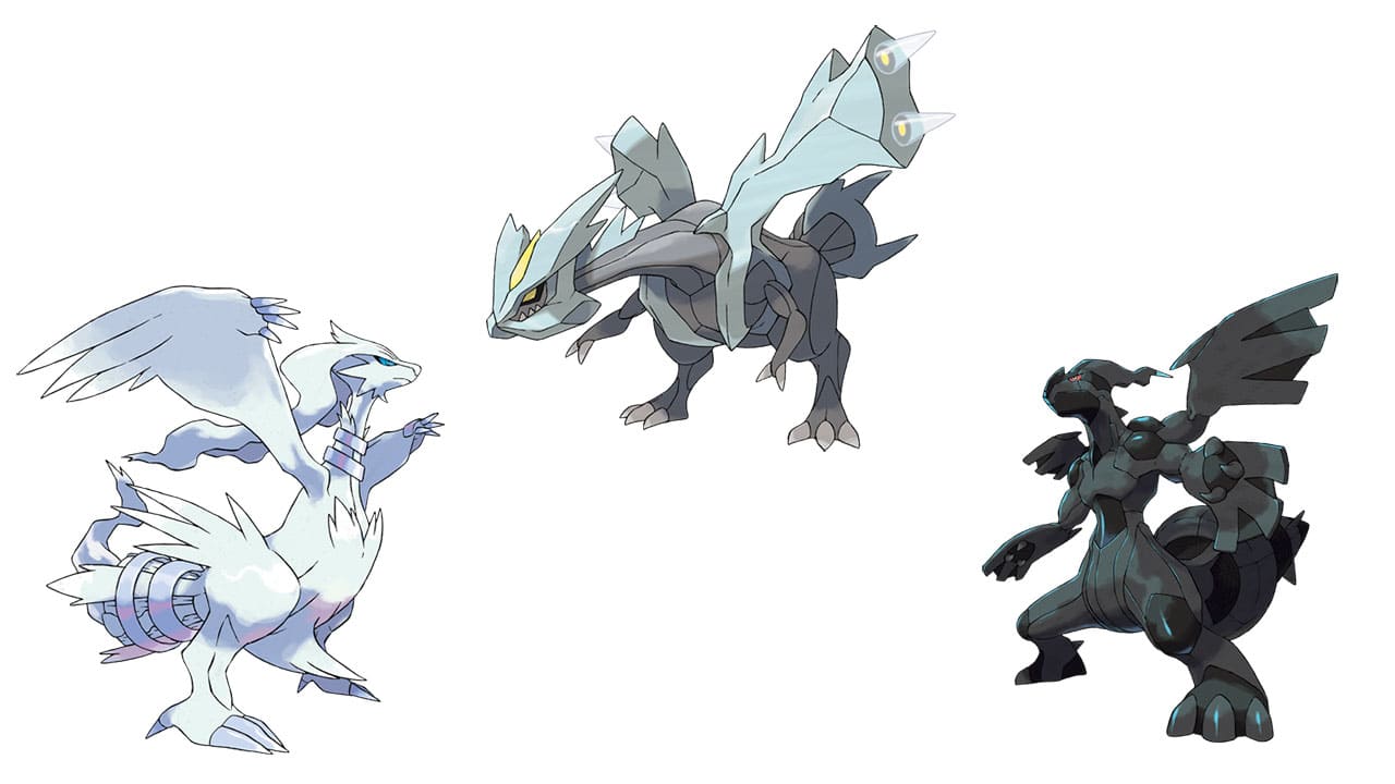 Reshiram, Zekrom e Kyurem no fundo branco