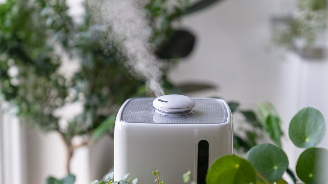 Umidificador de ar ultrassônico branco funcionando em meio à plantas