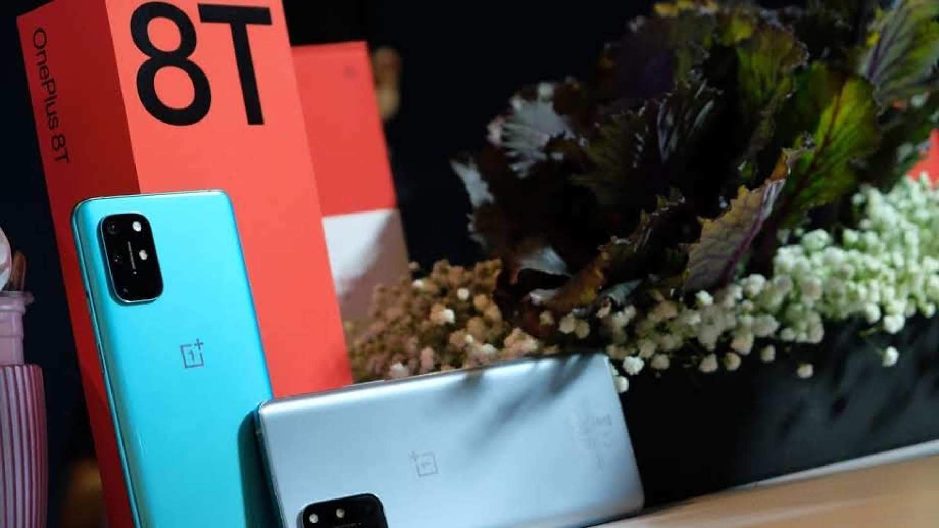 Dois celulares One Plus 8T apoiados em suas caixas ao lado de vaso de plantas