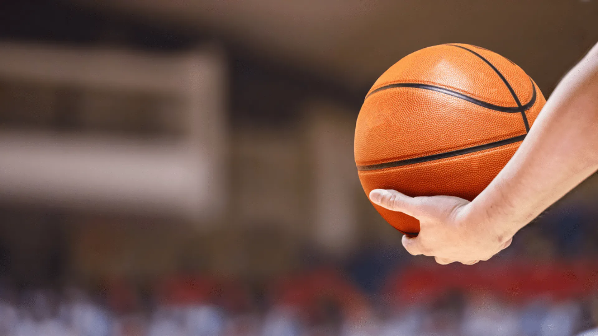 Bolas de Basquetebol