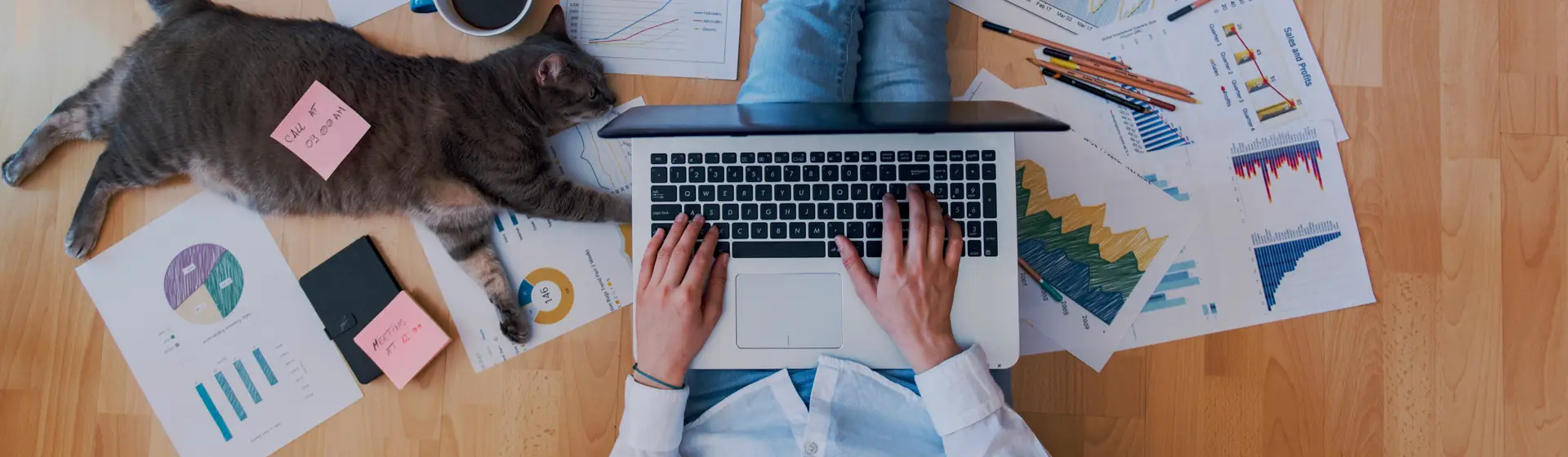 Pessoa usando notebook para trabalho sentada no chão com papéis e um gato