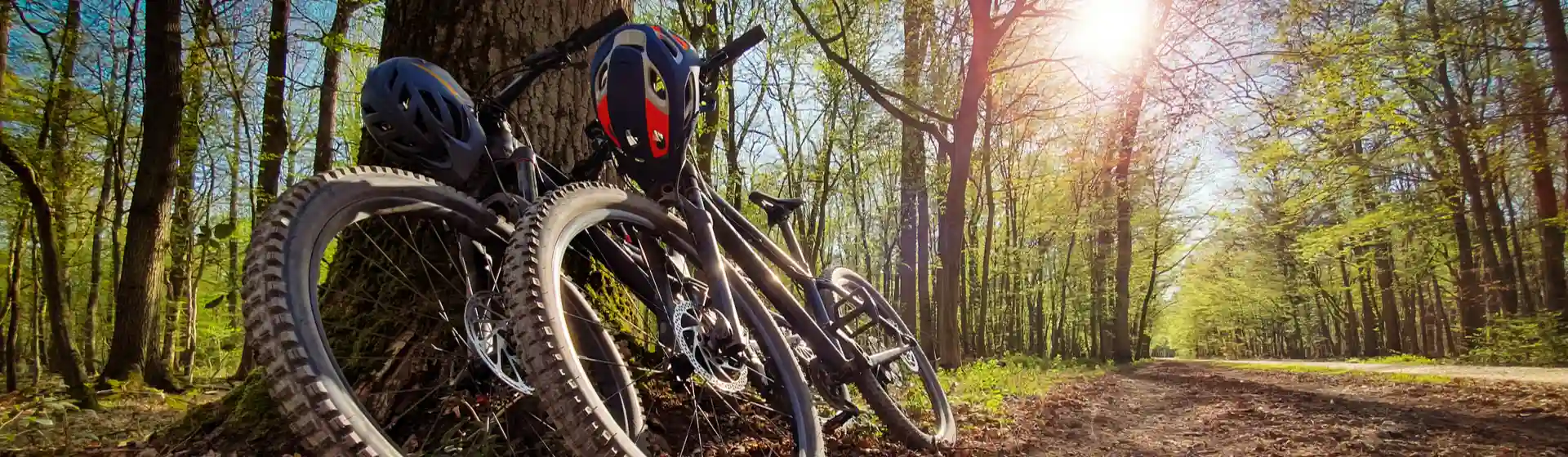 Capa do post: Bicicleta para trilha: 5 opções para se aventurar por aí