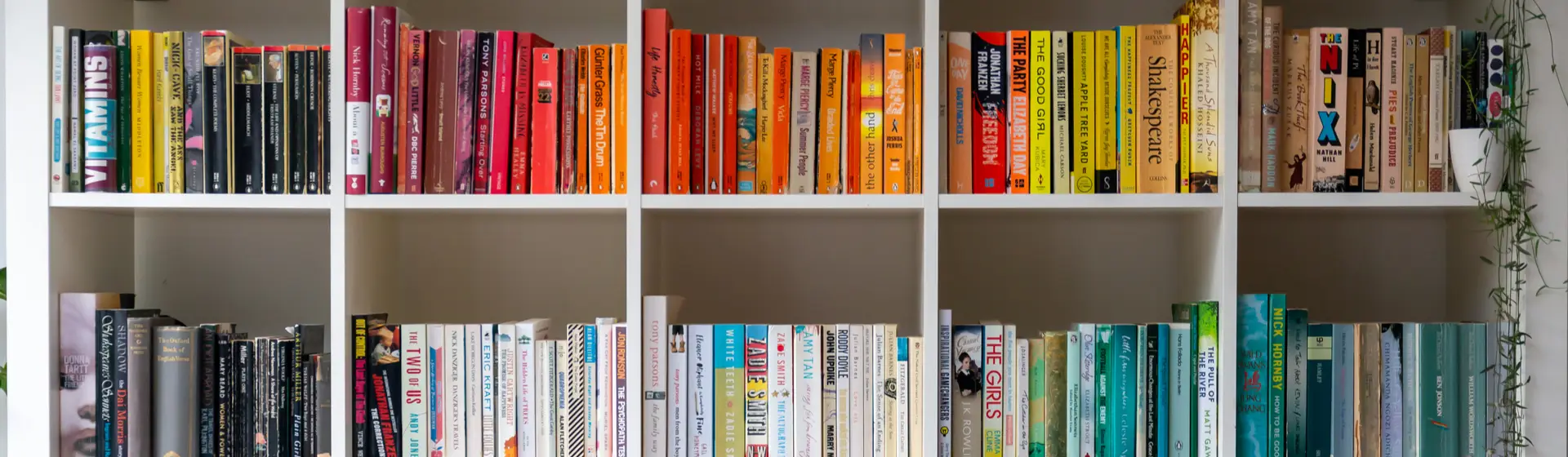Estantes para livros: cinco modelos para organizar e decorar o lar