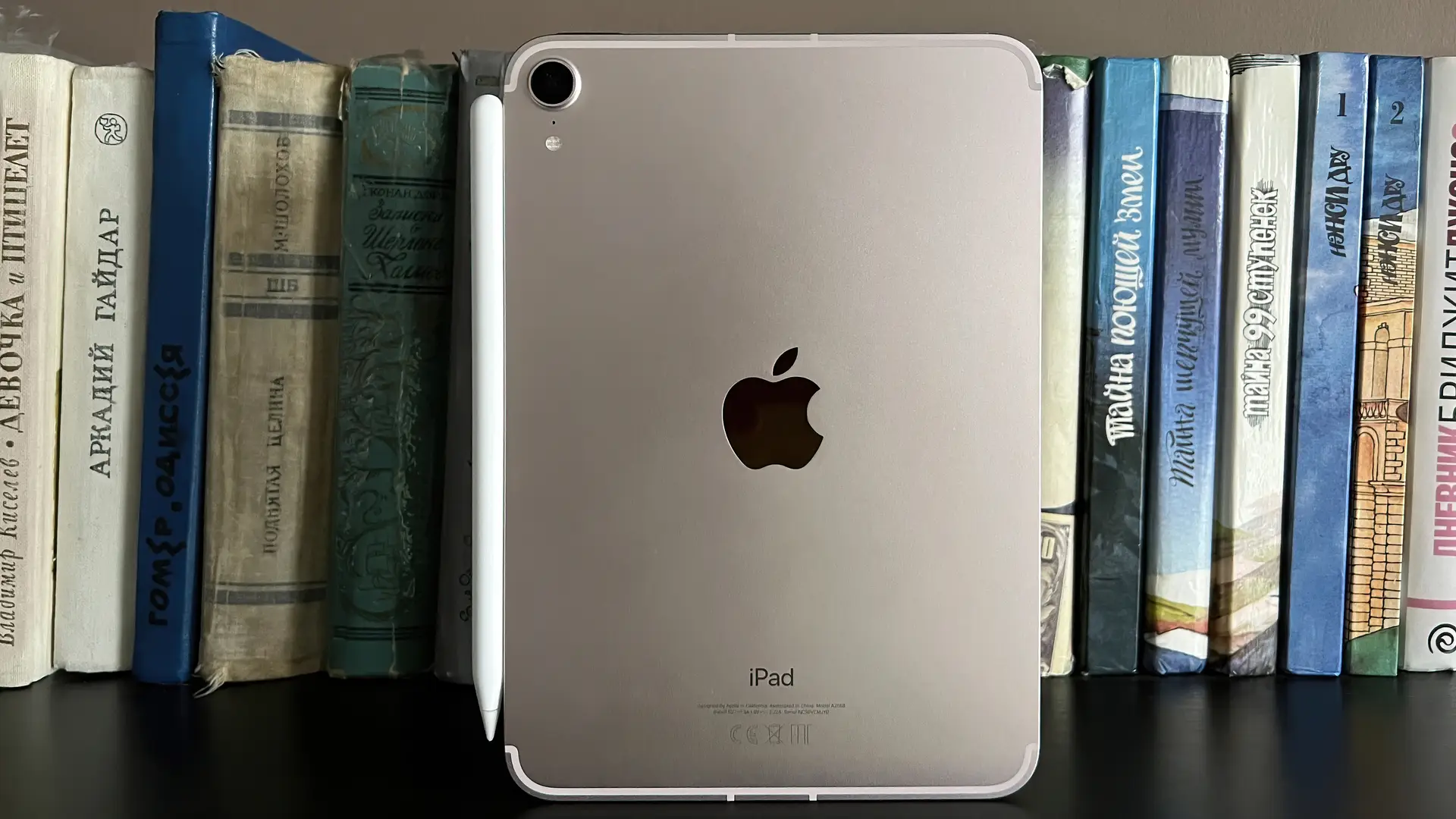 iPad Mini 6ª geração em frente a prateleira de livros