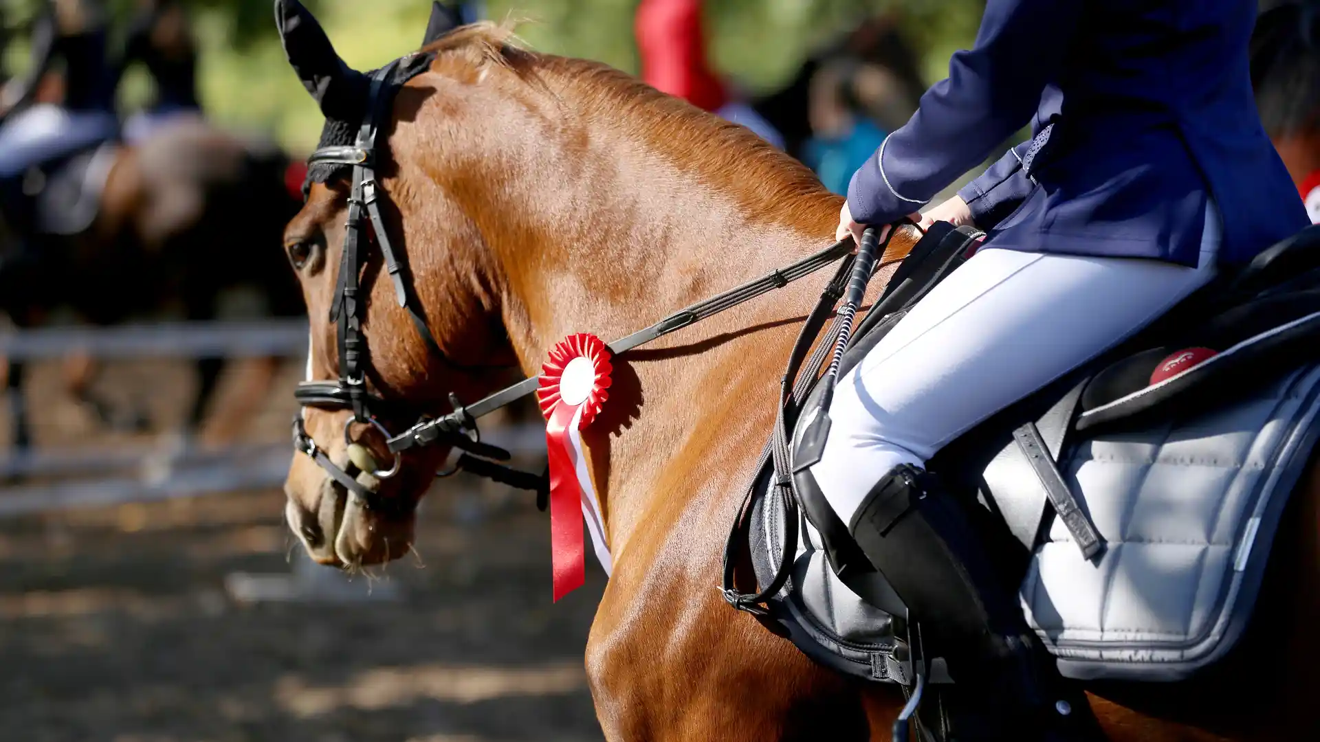 Uma amazona usando sela de cavalo durante competição