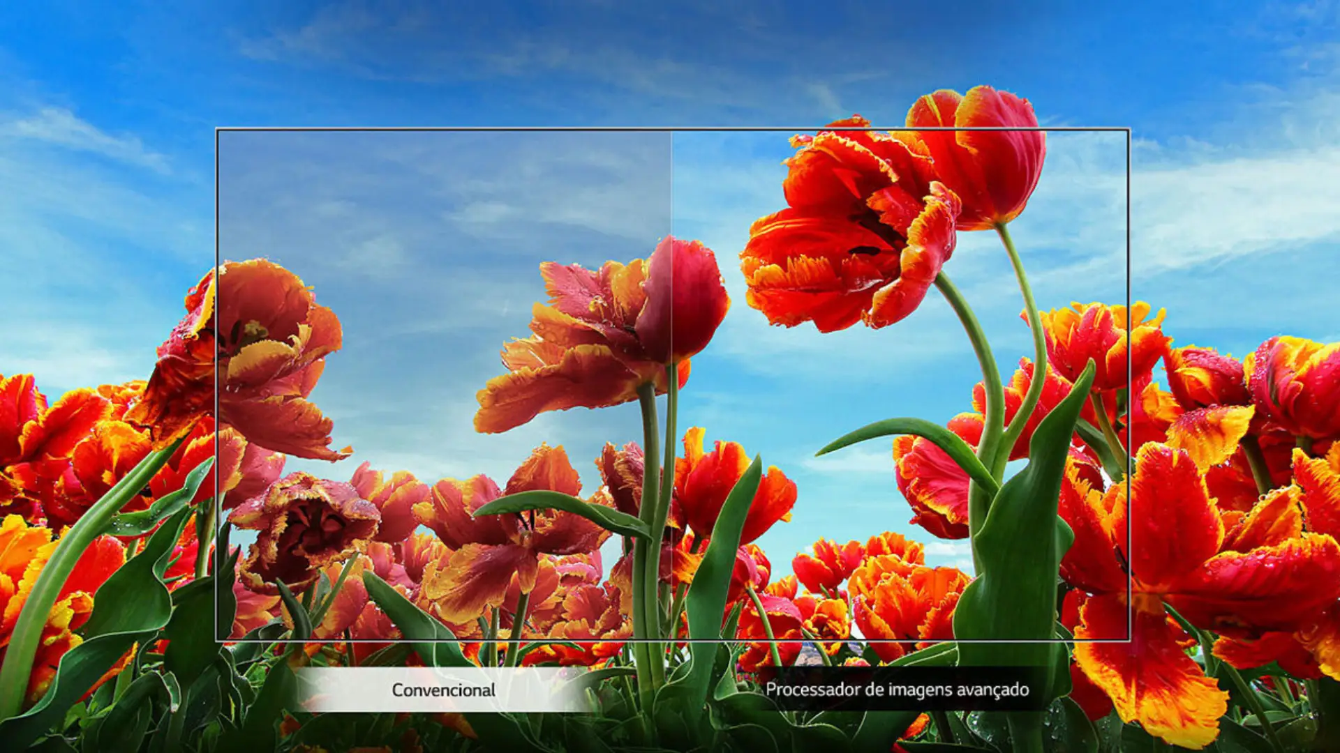 TV LG LM631 com diferenciação de imagens comuns para as trabalhadas com o processador Quad Core