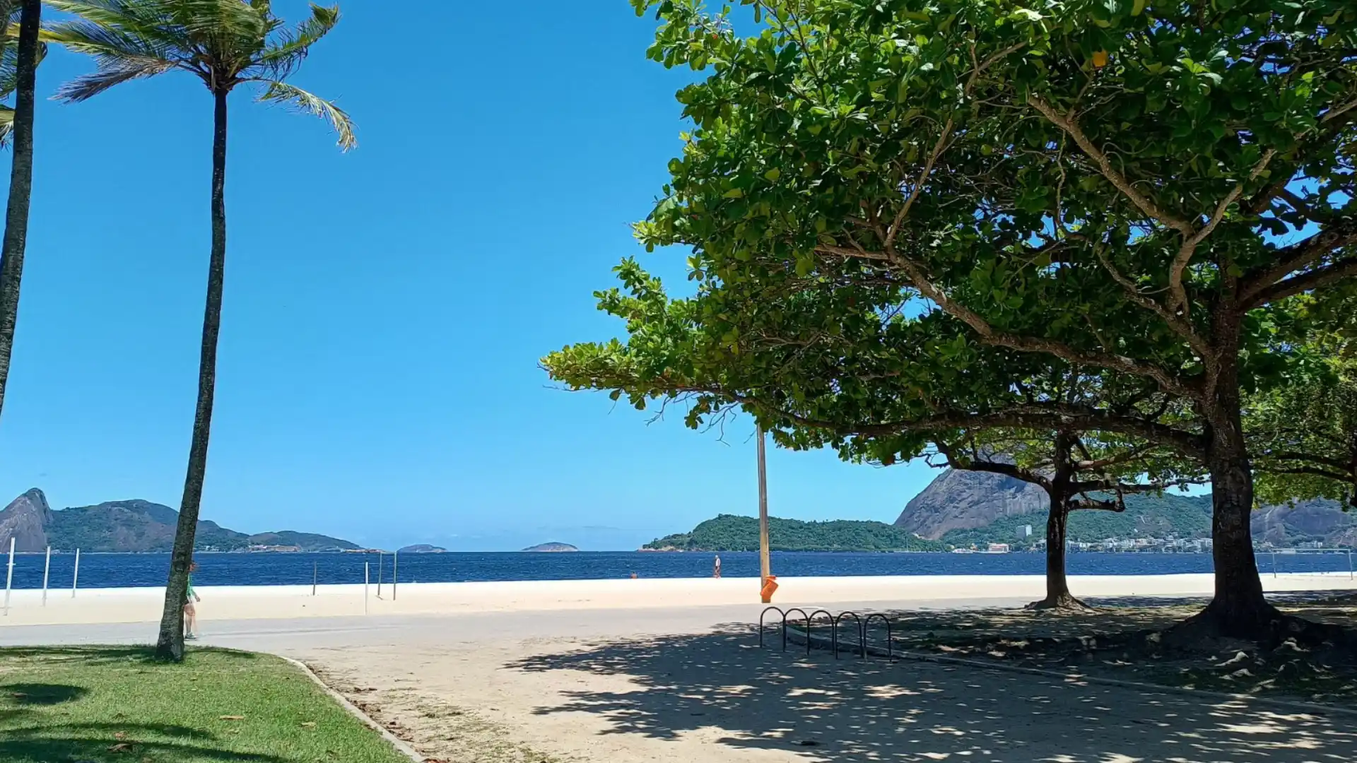 Imagem de praia com areia e mar ao fundo e árvores em primeiro plano