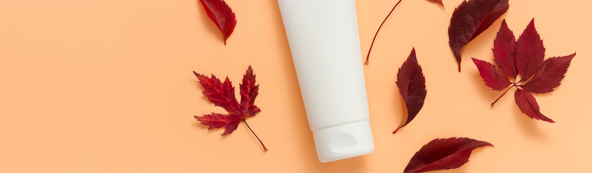 Capa do post: Cuidados com a pele no outono: dicas e produtos essenciais