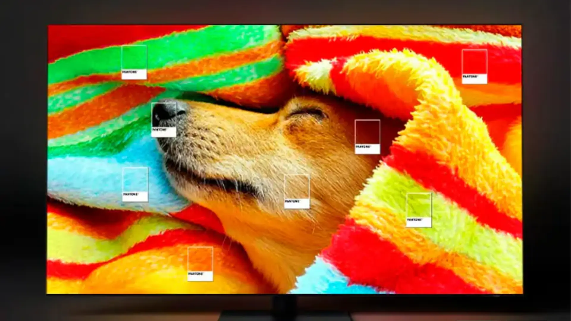 Tela de TV ligada com imagem de um cachorro deitado de lado dormindo em um pano colorido