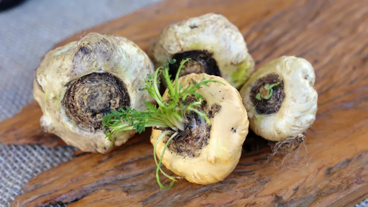 Raízes de Maca Peruana sobre tábua de madeira