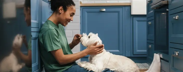 Capa do post: Melhores cachorros pequenos para apartamentos: 10 raças ideais