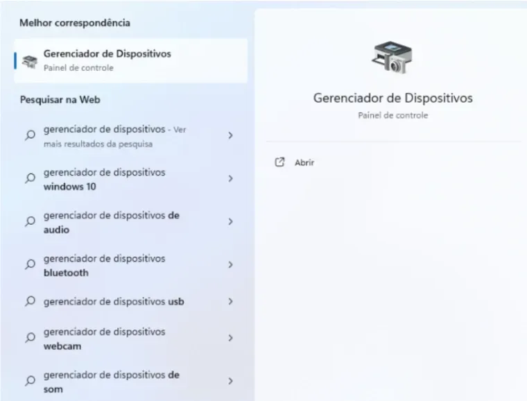 Imagem do tutorial de como atualizar os drivers da câmera