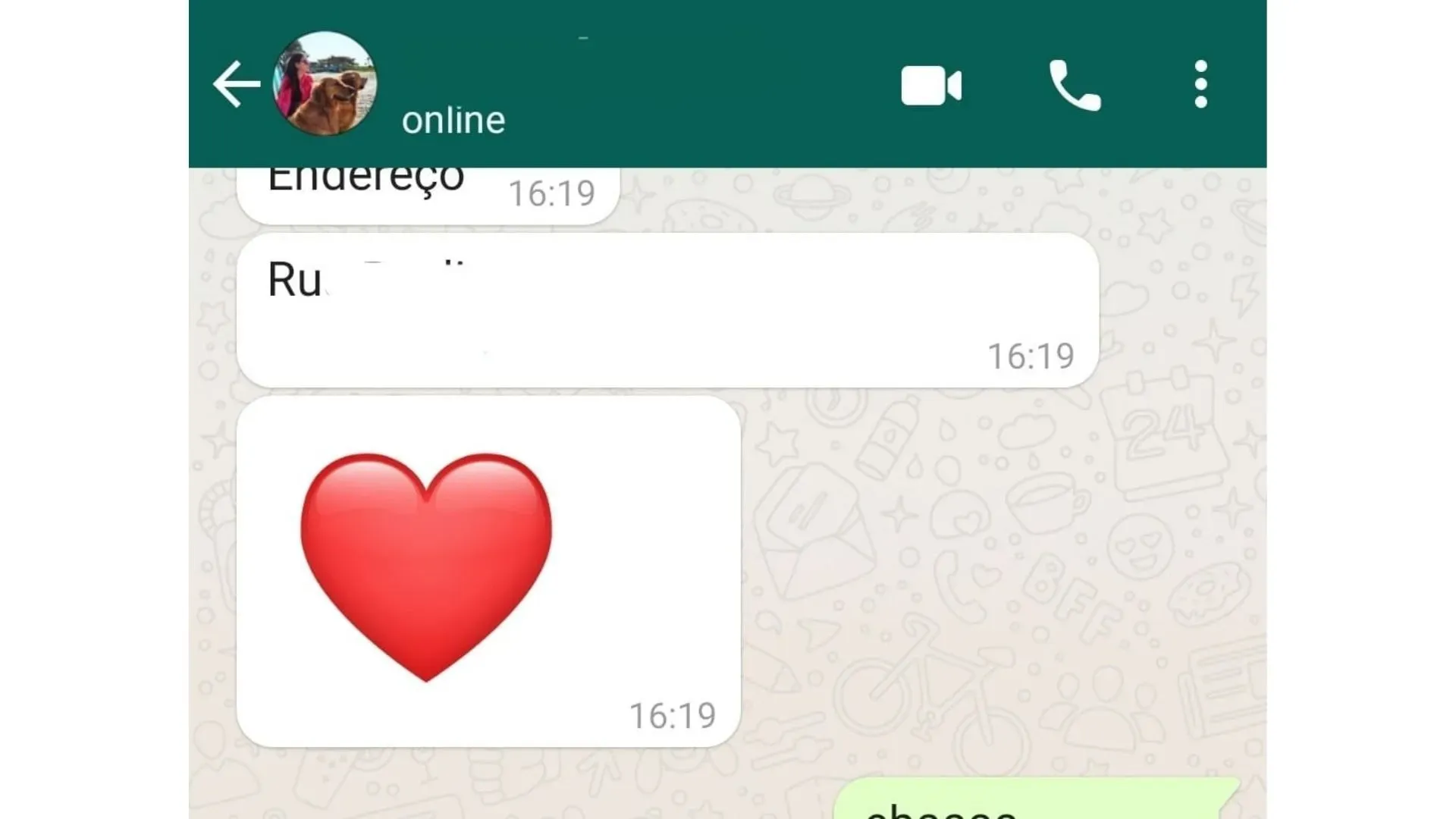 Imagem de conversa do WhatsApp com destaque no "online" aparecendo