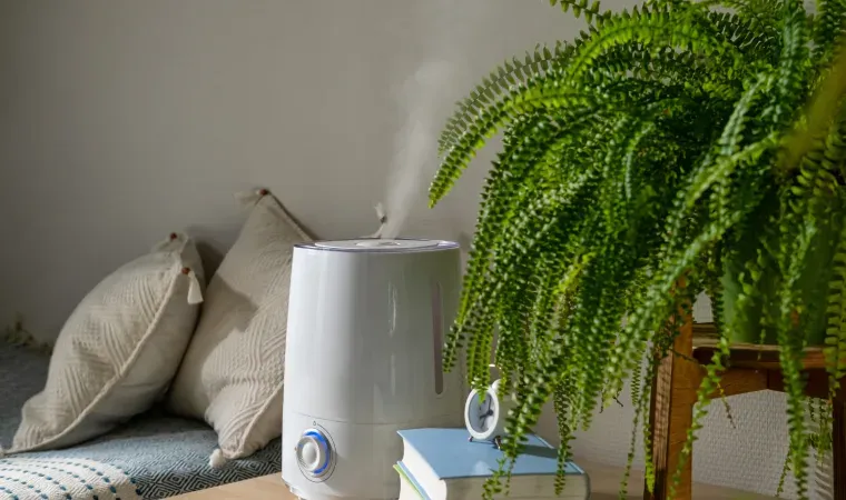 Foto mostra na prática como usar umidificador de ar.