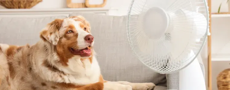 Ventilador 30cm: 6 modelos que valem o investimento