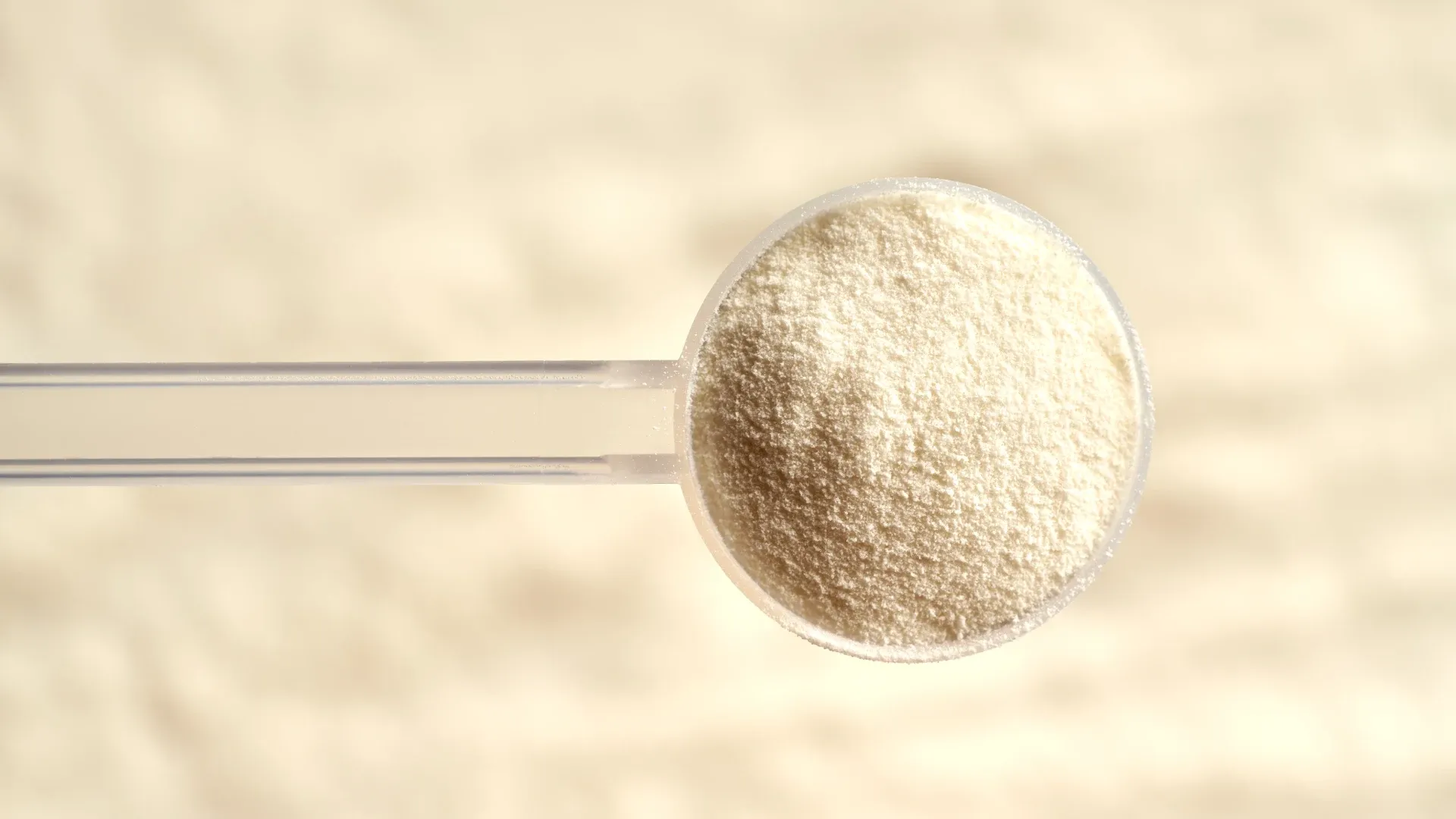 Close-up de um scoop transparente contendo pó de colágeno em um fundo neutro e iluminado, destacando a textura do suplemento. 
