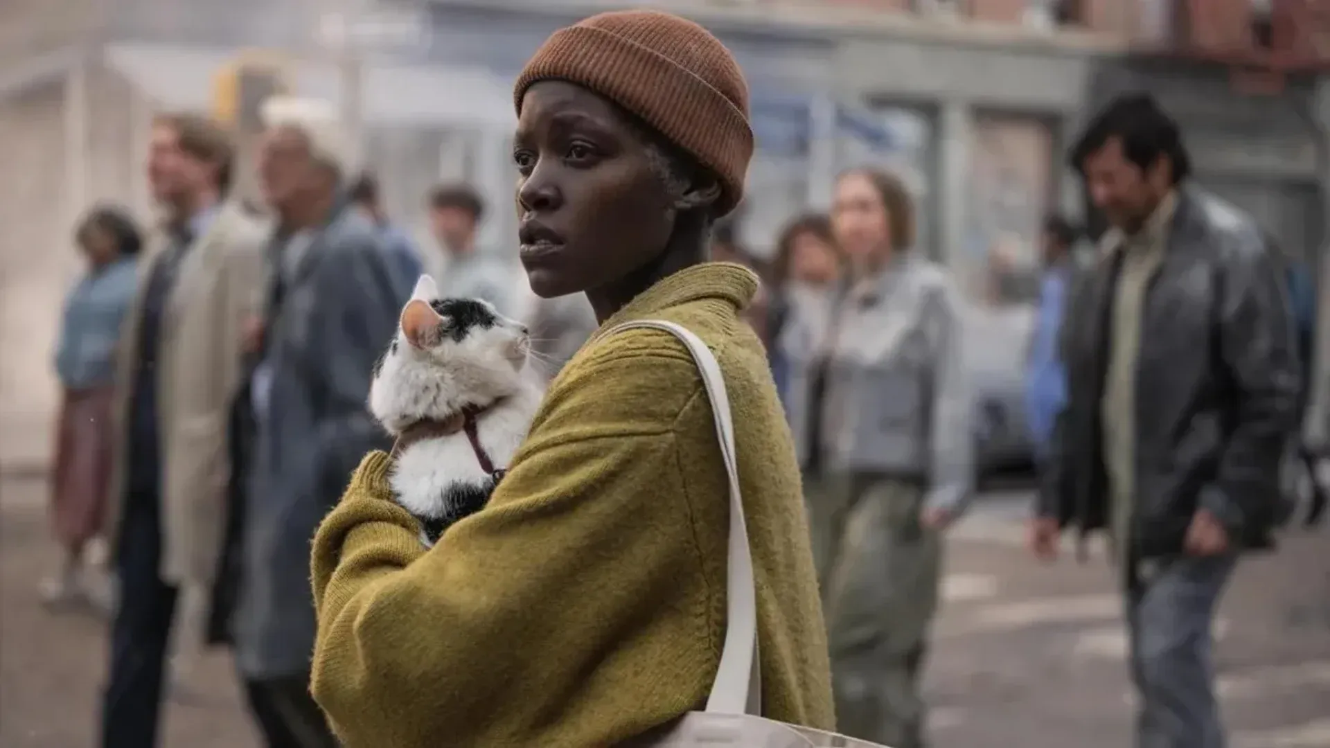 Personagem principal com seu gato no colo durante os ataques