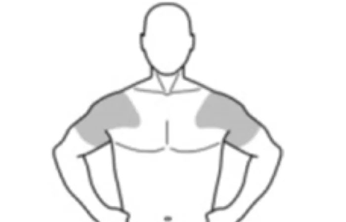 Representação de um corpo humano com manchas em cinza na região dos ombros indicando o local para aplicação do Androgel