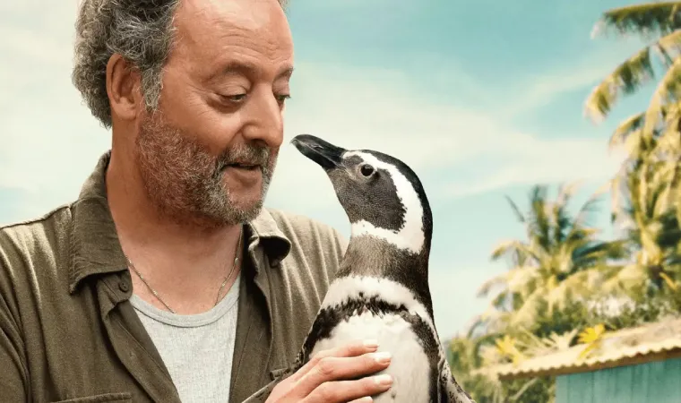 Imagem de divulgação de Meu Amigo Pinguim