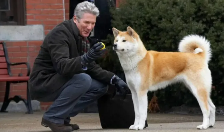 Imagem de divulgação de Sempre ao Seu Lado