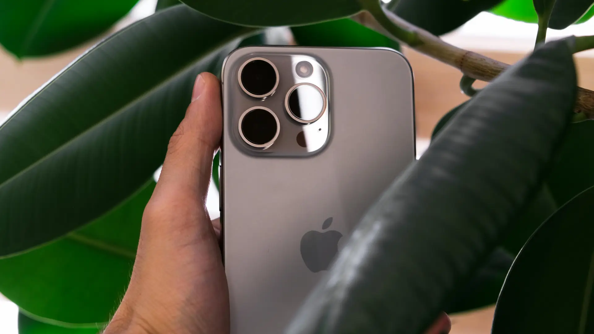 Melhor iPhone custo-benefício entre folhas de uma planta