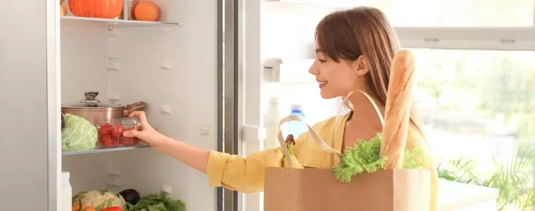 Capa do post: Geladeira econômica: 10 modelos para reduzir a sua conta de luz