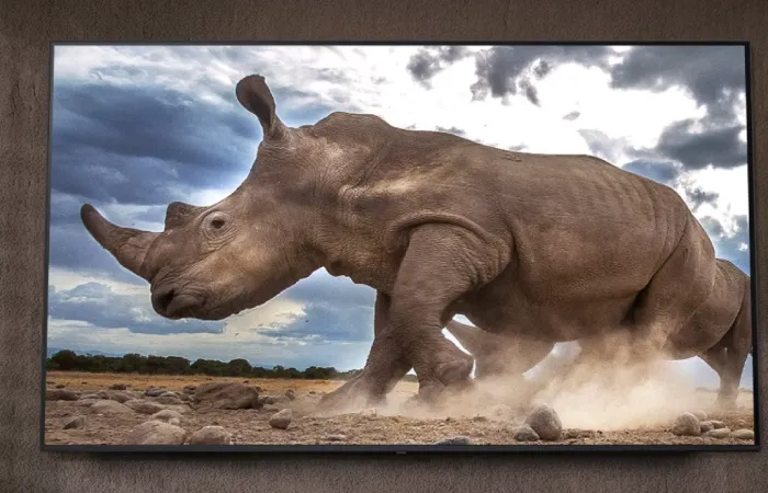 TV LG UT8050 fixada na parede mostra rinoceronte correndo na savana, levantando poeira sob céu nublado.