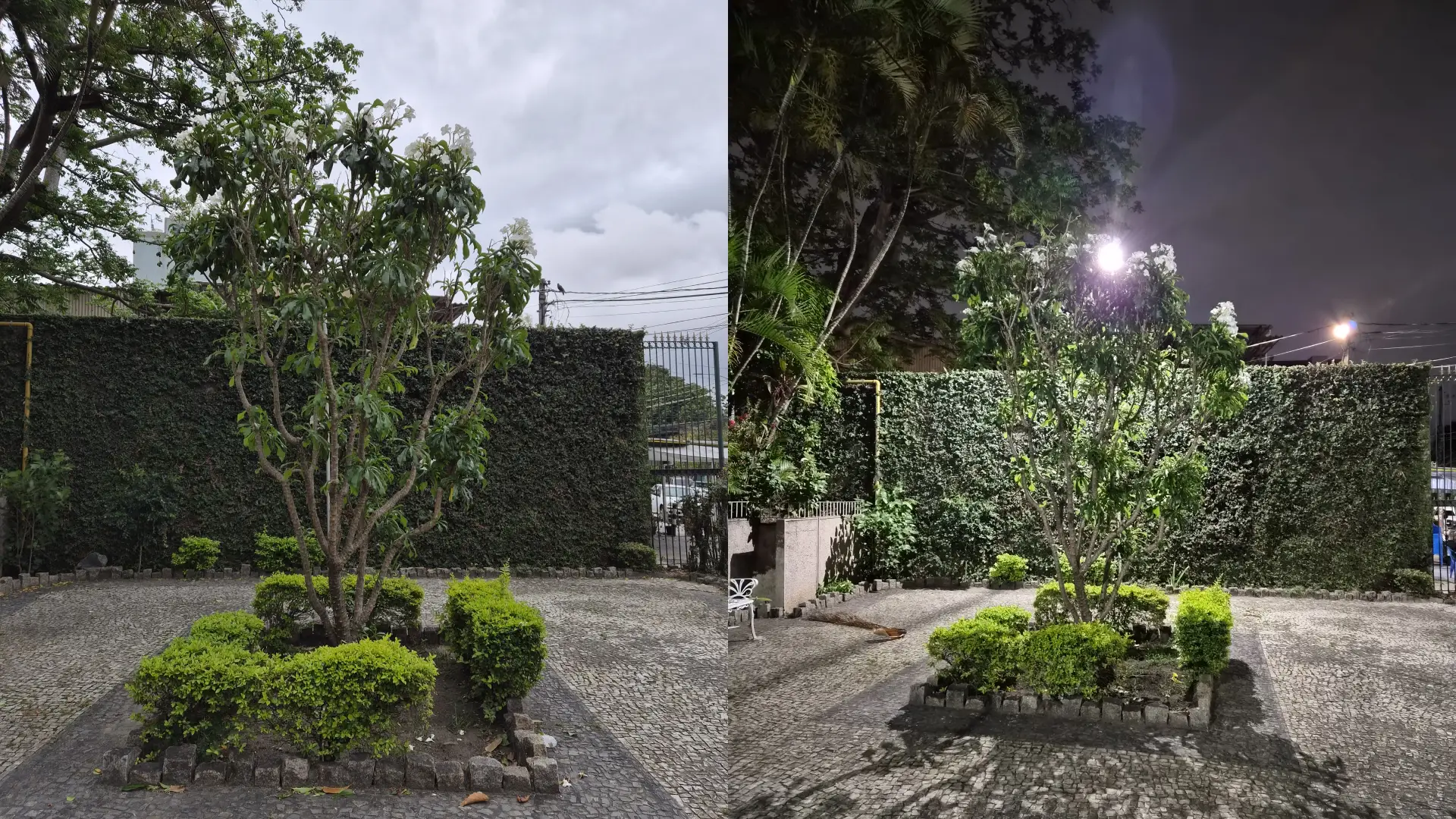 Comparativo de fotos de uma árvore durante o dia e a noite com a câmera traseira do Galaxy Z Flip 7