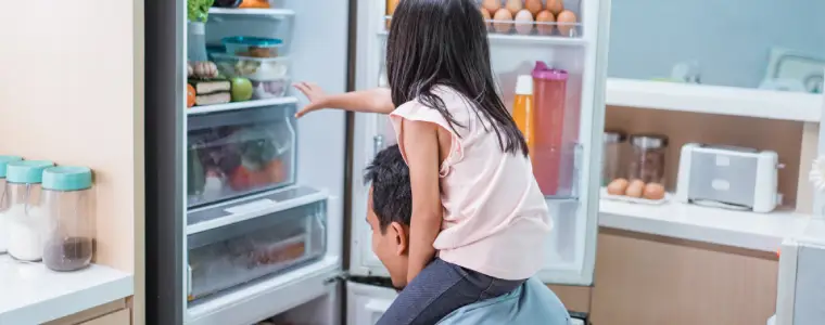 Geladeira Frost Free vs Cycle Defrost: qual gasta menos?