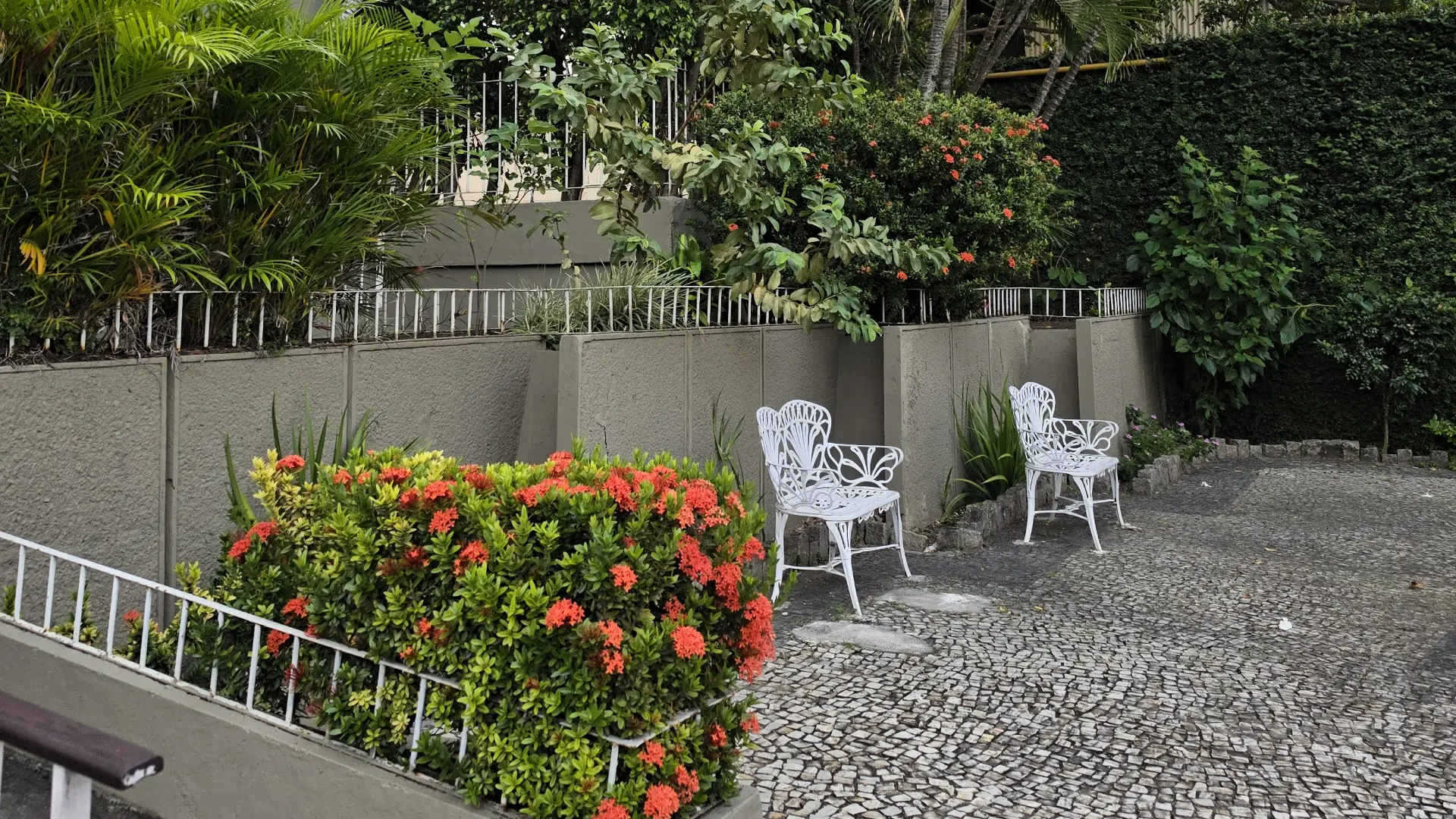 Imagem de dois bancos de ferro brancos lado a lado em área externa com arbustos verdes e flores vermelhas