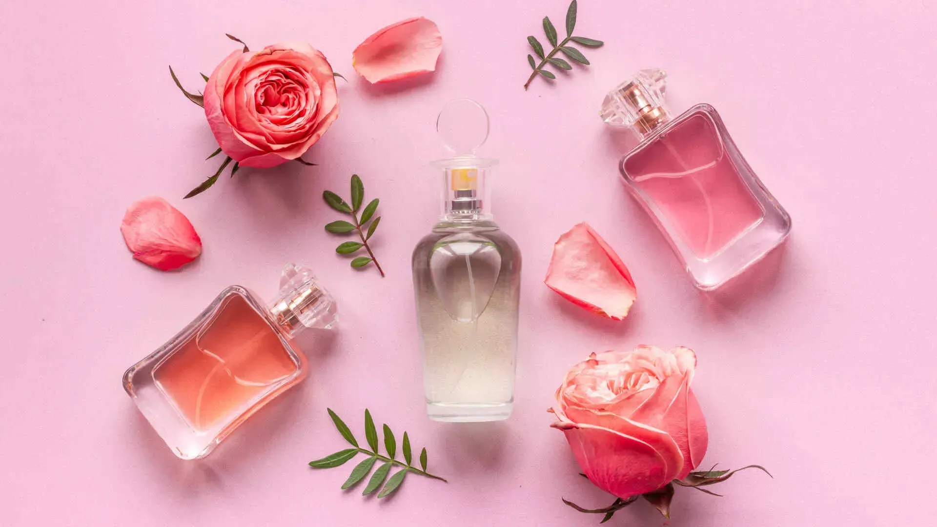 rês frascos de perfume feminino importado de vidro dispostos entre folhas e botões de rosa