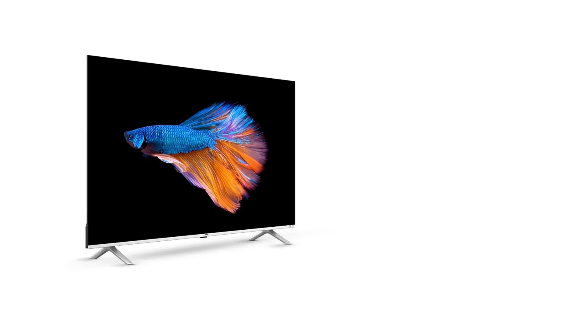 Imagem promocional de uma TV da Philco com um peixe azul