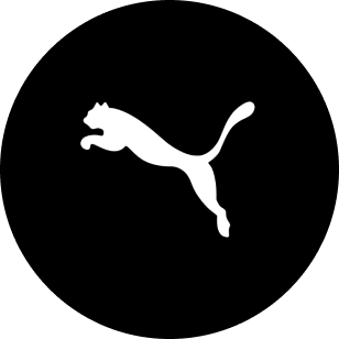 Imagem do Puma