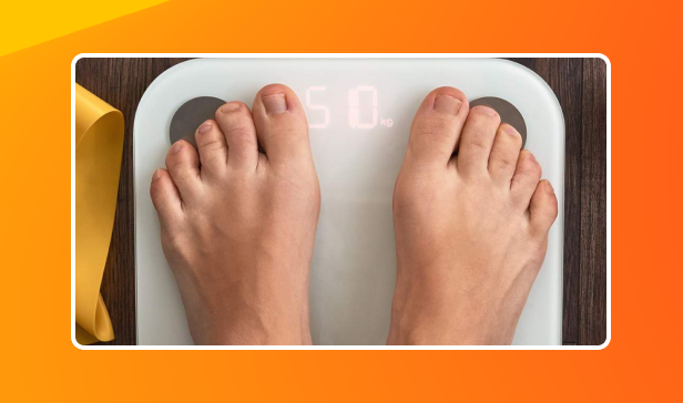 Explore as melhores opções